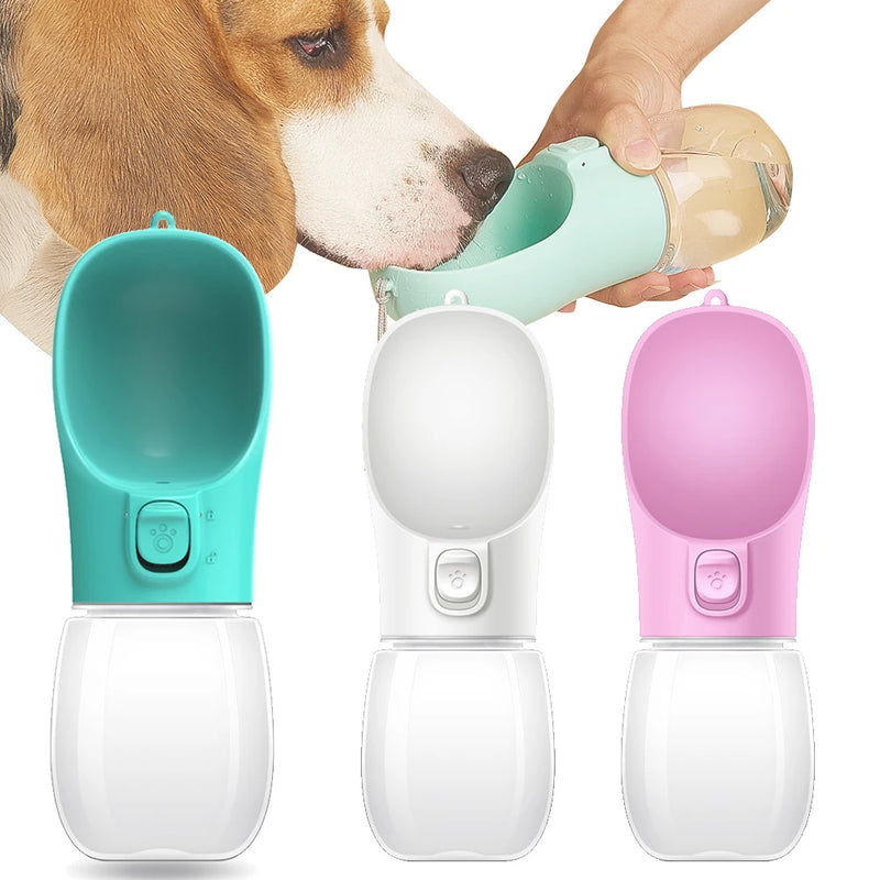 Drip Buddy Bottle