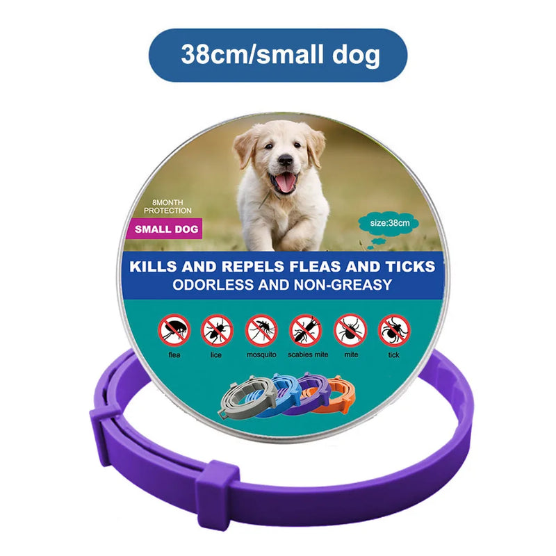 SafePet Flea Collar
