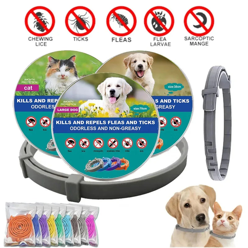 SafePet Flea Collar