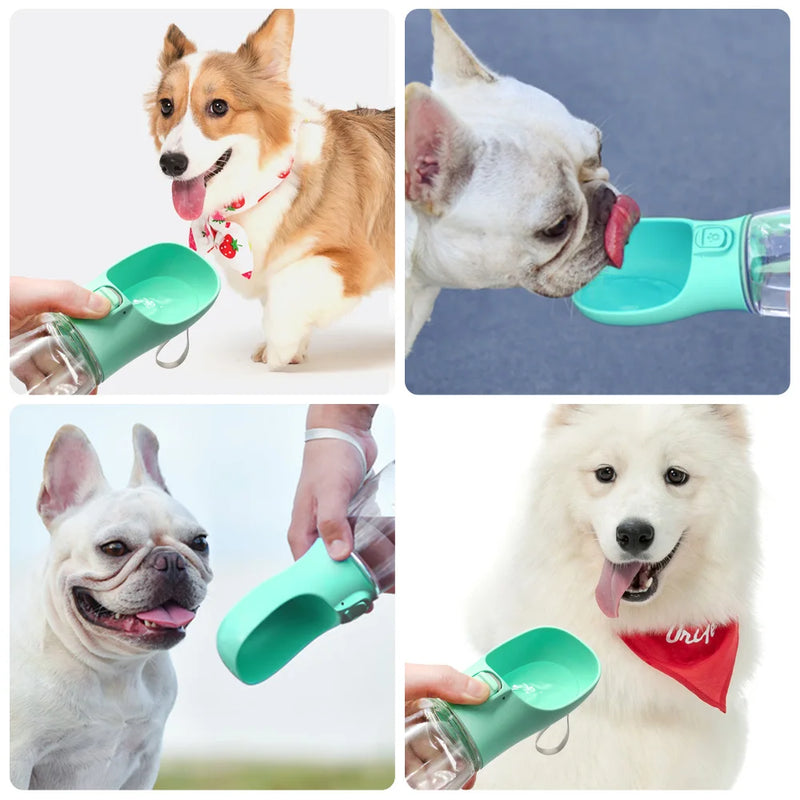 Drip Buddy Bottle