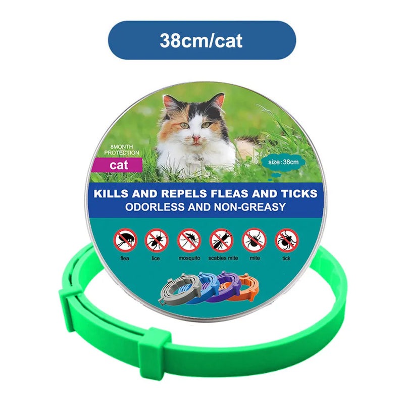 SafePet Flea Collar