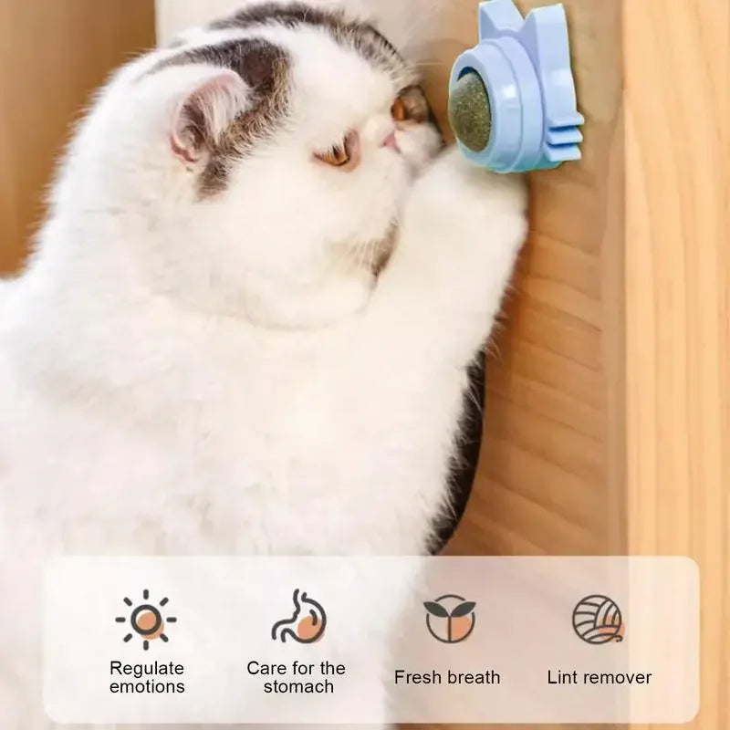 SpinNip Cat Toy 360°