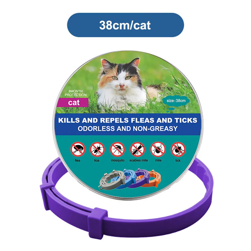 SafePet Flea Collar