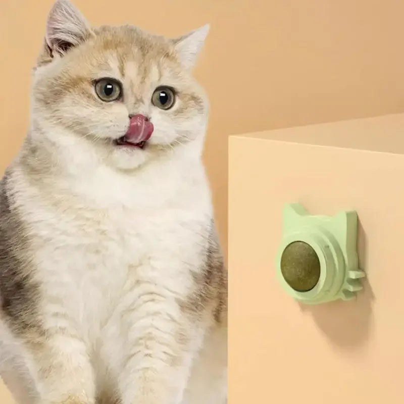 SpinNip Cat Toy 360°
