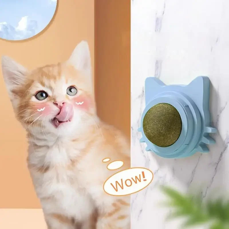 SpinNip Cat Toy 360°