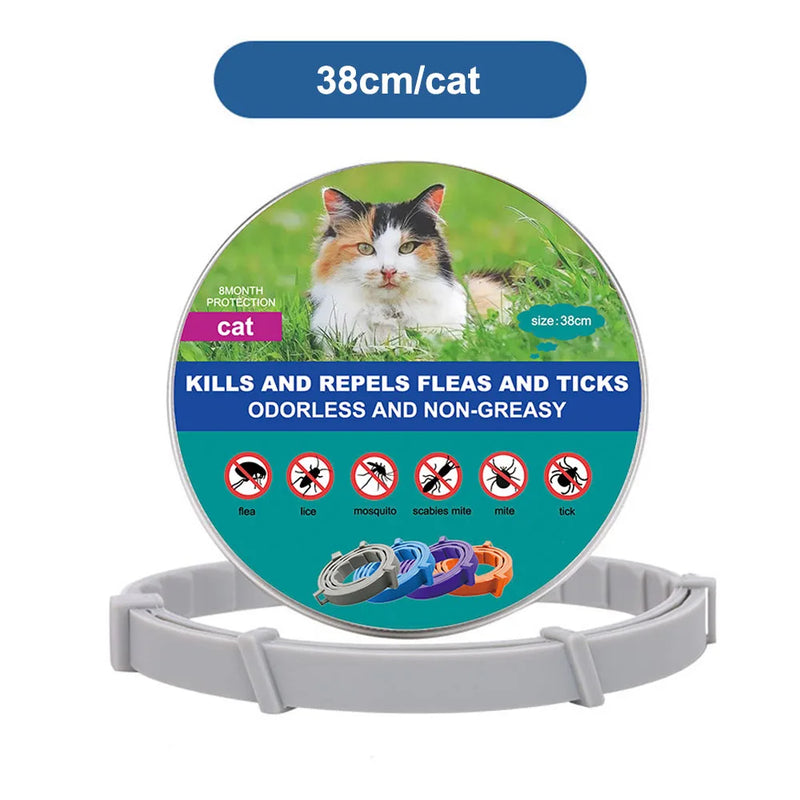 SafePet Flea Collar